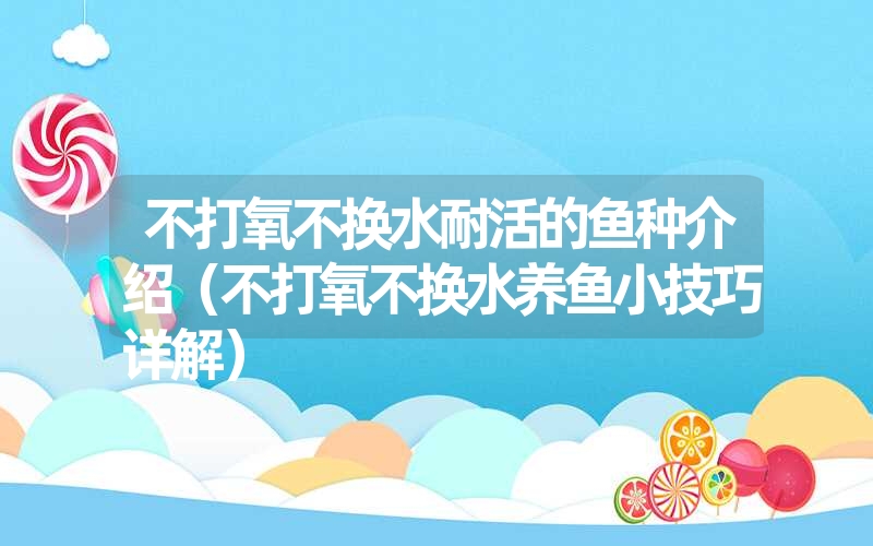 不打氧不换水耐活的鱼种介绍(不打氧不换水养鱼小技巧详解) 不打氧不换水耐活的鱼种介绍(不打氧不换水养鱼小技巧详解)