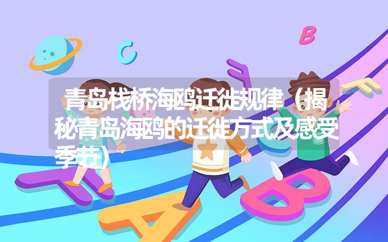 青岛栈桥海鸥迁徙规律(揭秘青岛海鸥的迁徙方式及感受季节) 青岛栈桥海鸥迁徙规律(揭秘青岛海鸥的迁徙方式及感受季节)